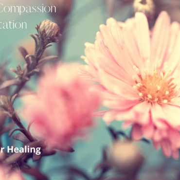 Sarainnerhealing Love-and-compassion-370x370 Guided Meditation  
