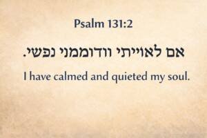 Sara Inner Healing ChatGPT-Image-Feb-23-2026-07_38_41-PM-300x200  EMOTIONAL REGULATION  